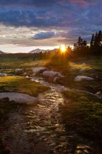 sierra sunburst.jpg